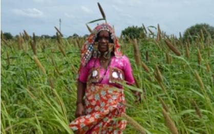 Climate Resilient Farming